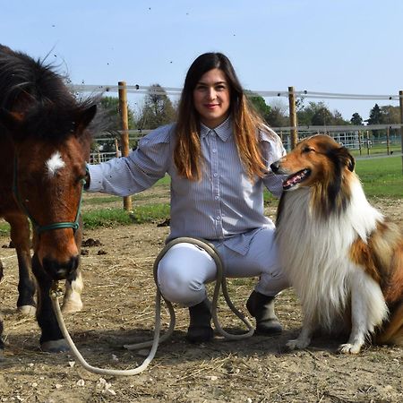La Tenuta Va Oltre Bovolenta ภายนอก รูปภาพ